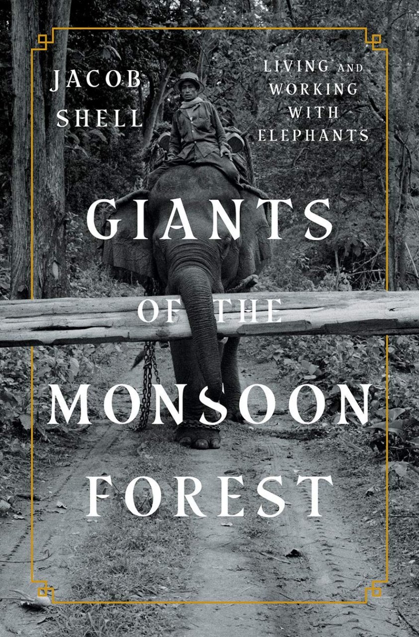 giants-of-the-monsoon-forest-living-and-working-with-elephants